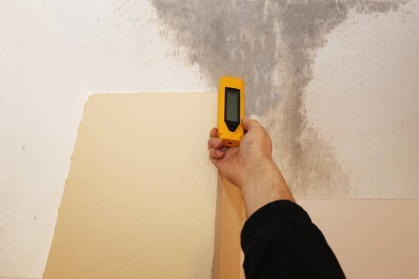 Best Indoor Air Quality Assessment  in Palestine, TX