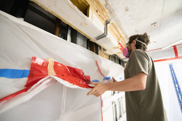 Best Real Estate Mold Inspection  in Palestine, TX