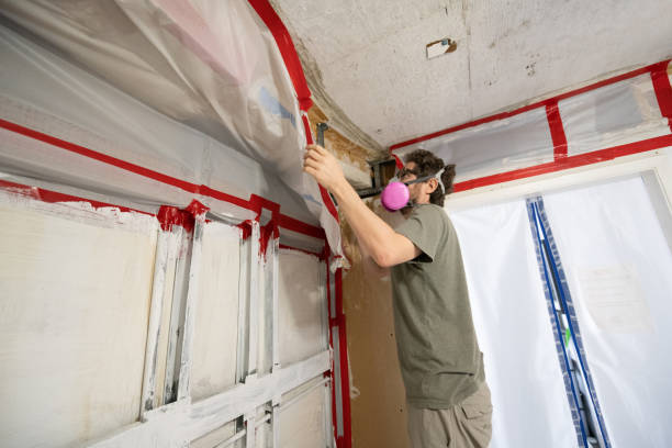 Best Commercial Mold Inspection  in Palestine, TX
