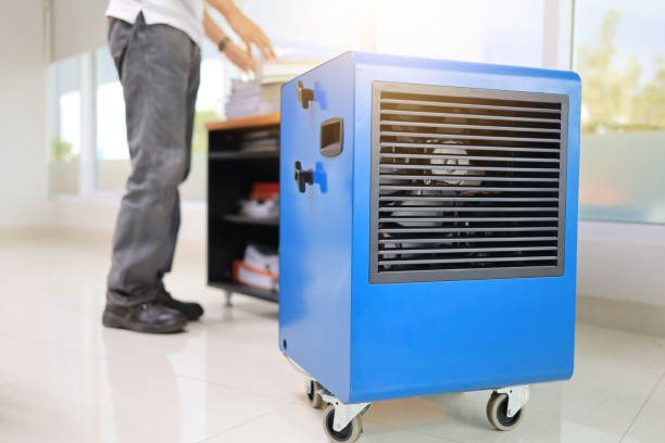 Best Residential Mold Inspection & Testing  in Palestine, TX