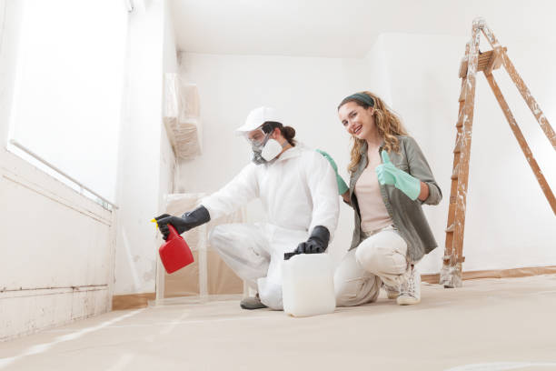 Best Crawl Space Mold Remediation  in Palestine, TX